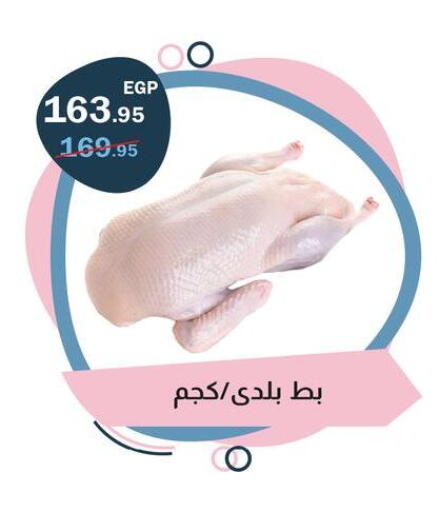 available at Flamingo Hyper Market in Egypt - Cairo