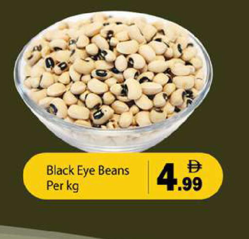 available at جلف هايبرماركت ذ.م.م in الإمارات العربية المتحدة , الامارات - رَأْس ٱلْخَيْمَة