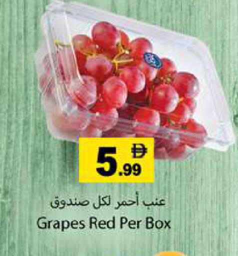 Grapes available at جلف هايبرماركت ذ.م.م in الإمارات العربية المتحدة , الامارات - رَأْس ٱلْخَيْمَة