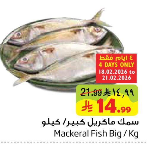 available at ليان هايبر in مملكة العربية السعودية, السعودية, سعودية - المنطقة الشرقية