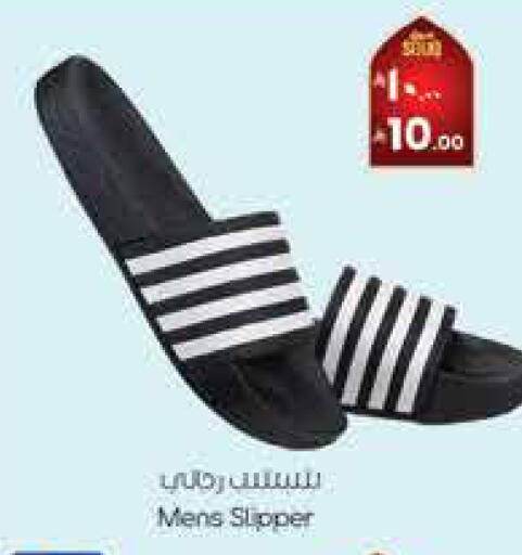 available at City Flower in KSA, Saudi Arabia, Saudi - Hail