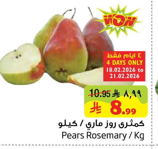 Rosemary available at Layan Hyper in KSA, Saudi Arabia, Saudi - Dammam