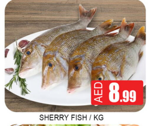 available at Lucky Center in UAE - Sharjah / Ajman