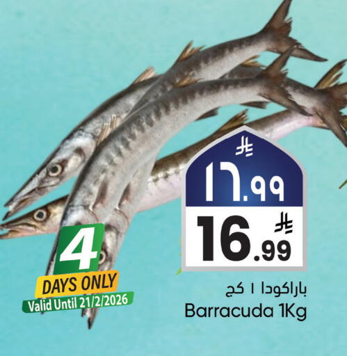 available at ستي فلاور in مملكة العربية السعودية, السعودية, سعودية - نجران