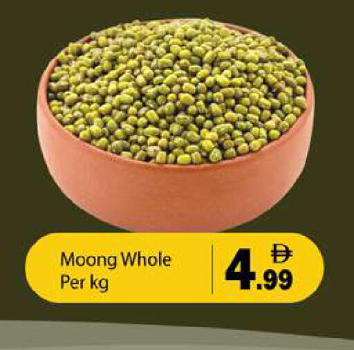 available at جلف هايبرماركت ذ.م.م in الإمارات العربية المتحدة , الامارات - رَأْس ٱلْخَيْمَة