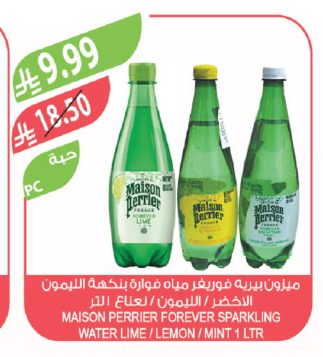 Lemon Mint available at Farm  in KSA, Saudi Arabia, Saudi - Arar