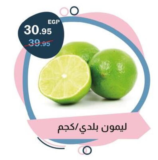 available at Flamingo Hyper Market in Egypt - Cairo