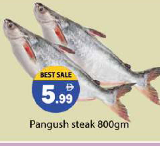 available at جلف هايبرماركت ذ.م.م in الإمارات العربية المتحدة , الامارات - رَأْس ٱلْخَيْمَة