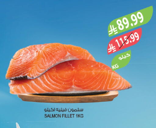 available at المزرعة in مملكة العربية السعودية, السعودية, سعودية - الرياض