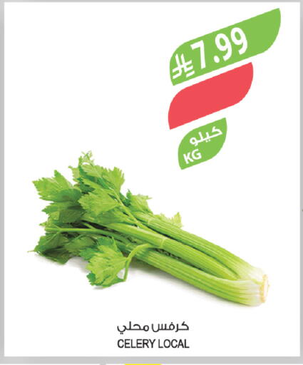 Celery available at Farm  in KSA, Saudi Arabia, Saudi - Arar