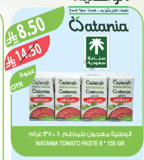 Tomato available at Farm  in KSA, Saudi Arabia, Saudi - Najran