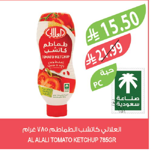 Tomato available at Farm  in KSA, Saudi Arabia, Saudi - Dammam
