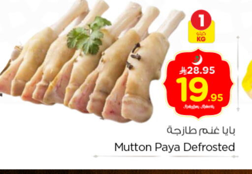 available at نستو in مملكة العربية السعودية, السعودية, سعودية - بريدة