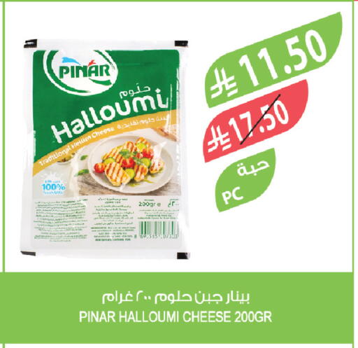 available at Farm  in KSA, Saudi Arabia, Saudi - Tabuk