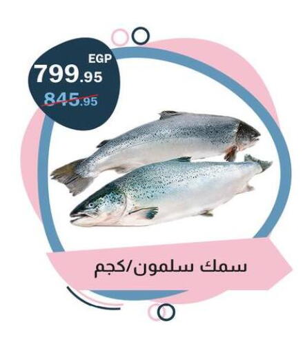 available at فلامنجو هايبرماركت in Egypt - القاهرة