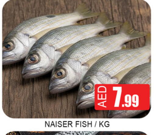 available at Lucky Center in UAE - Sharjah / Ajman