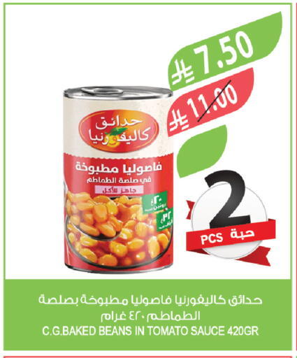 Tomato available at Farm  in KSA, Saudi Arabia, Saudi - Dammam
