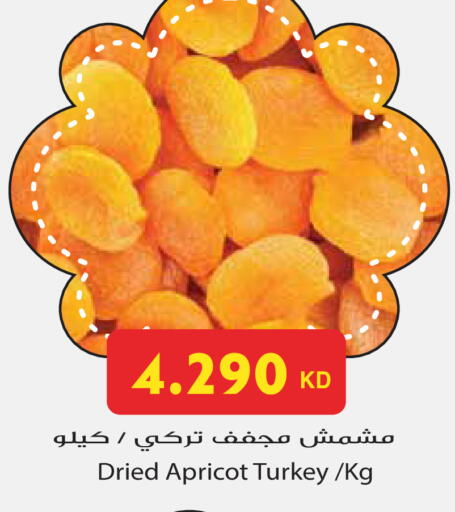 Apricot available at جراند هايبر in الكويت - محافظة الأحمدي