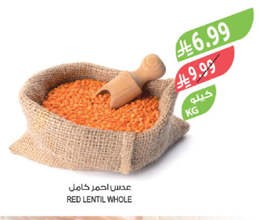 available at المزرعة in مملكة العربية السعودية, السعودية, سعودية - سيهات