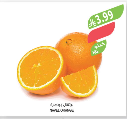 Orange available at المزرعة in مملكة العربية السعودية, السعودية, سعودية - الجبيل‎