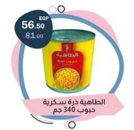 available at Flamingo Hyper Market in Egypt - Cairo