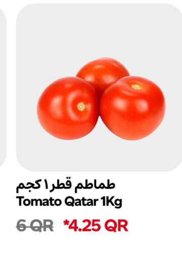 Tomato from Qatar available at Snoomart in Qatar - Al-Shahaniya