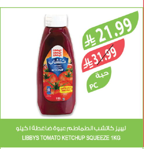 Tomato available at Farm  in KSA, Saudi Arabia, Saudi - Khafji