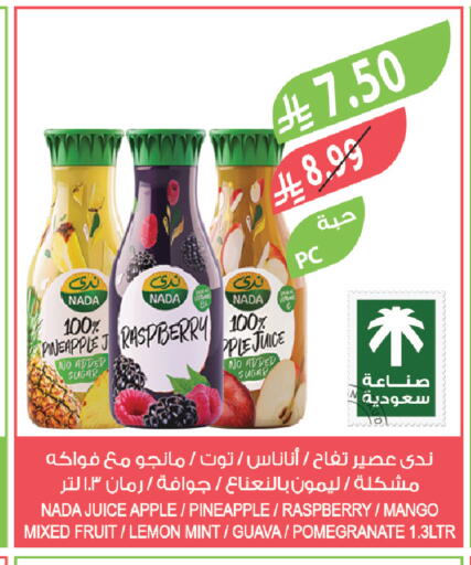 Pineapple Raspberry Apple Mango Lemon Guava Pomegranate Mint available at Farm  in KSA, Saudi Arabia, Saudi - Al-Kharj