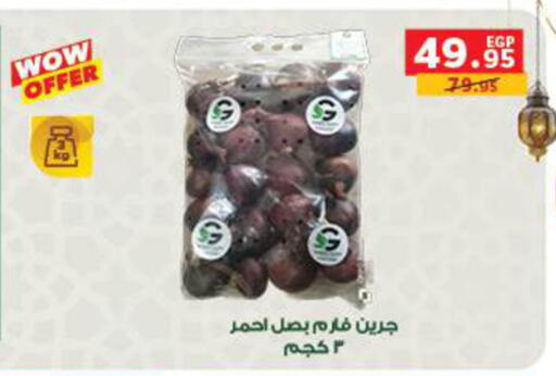 available at بنده in Egypt - القاهرة