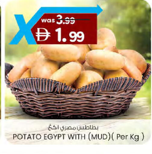 Potato from Egypt available at ك. الم. للتجارة in الإمارات العربية المتحدة , الامارات - دبي