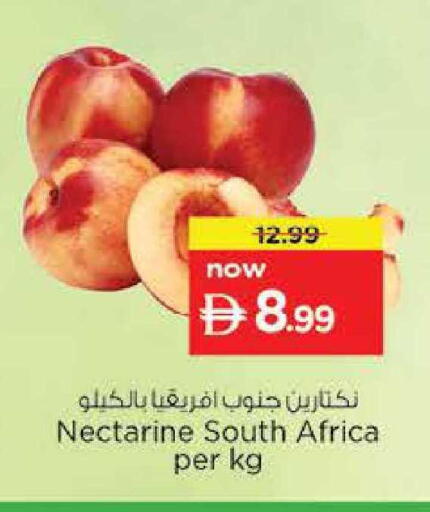 Nectarine from South Africa available at Nesto Hypermarket in UAE - Fujairah
