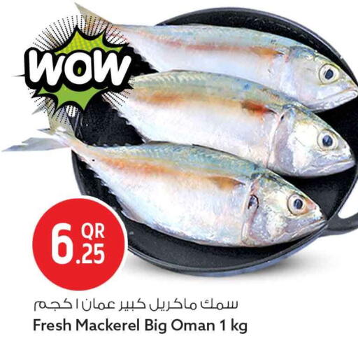 available at سفاري هايبر ماركت in قطر - الريان
