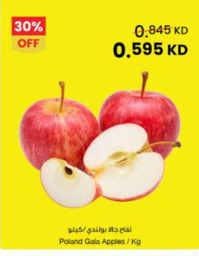 from Poland available at مركز سلطان in الكويت - محافظة الجهراء