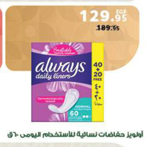 available at Panda  in Egypt - Cairo