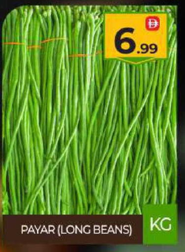 available at بيج مارت in الإمارات العربية المتحدة , الامارات - دبي