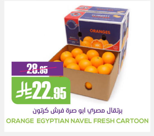 Orange from Egypt available at سبت in مملكة العربية السعودية, السعودية, سعودية - بريدة