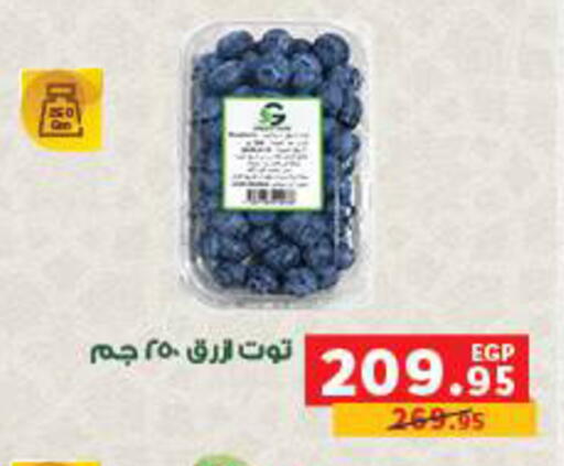 available at بنده in Egypt - القاهرة