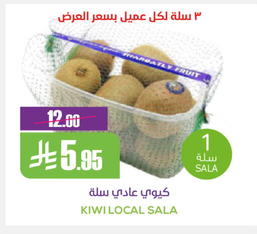 Kiwi available at Sapt in KSA, Saudi Arabia, Saudi - Buraidah