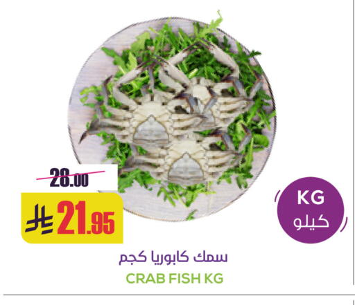 available at Sapt in KSA, Saudi Arabia, Saudi - Buraidah