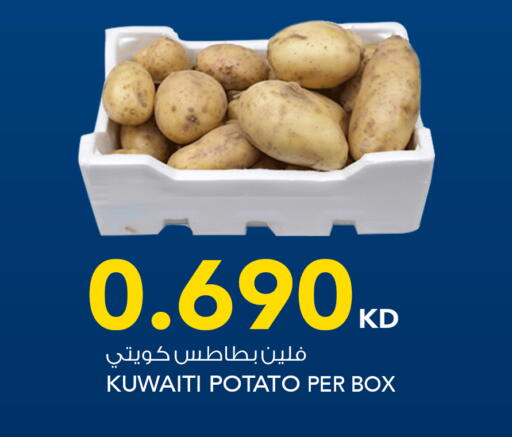 Potato from Kuwait available at  ALNASSER HYPERMARKET in Kuwait - Ahmadi Governorate