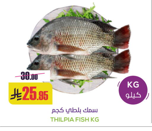 available at Sapt in KSA, Saudi Arabia, Saudi - Buraidah