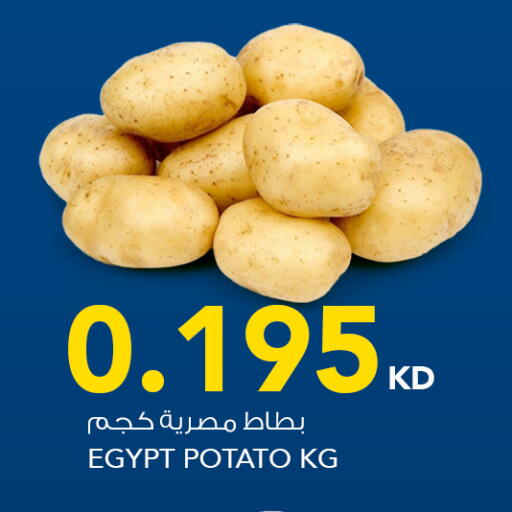 Potato from Egypt available at  ALNASSER HYPERMARKET in Kuwait - Ahmadi Governorate