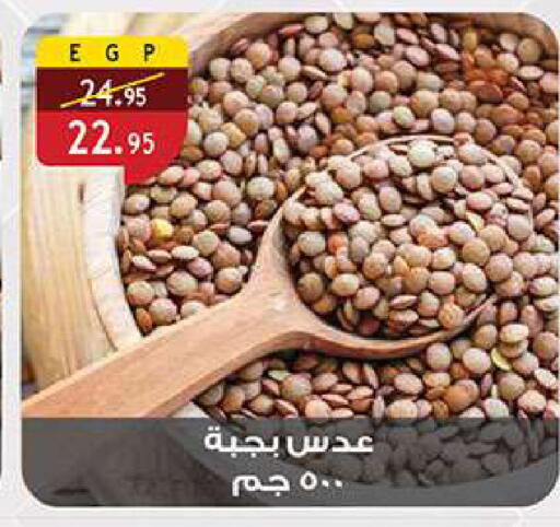 available at الرايه  ماركت in Egypt - القاهرة