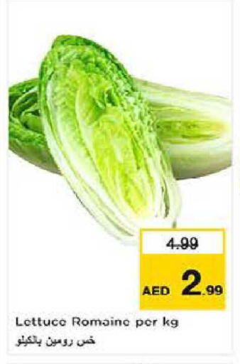 Lettuce available at لاست تشانس in الإمارات العربية المتحدة , الامارات - ٱلْفُجَيْرَة‎