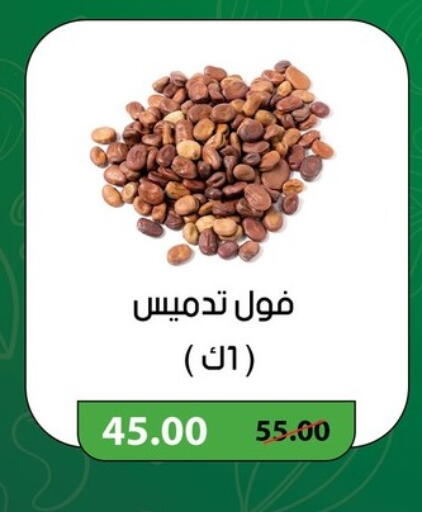 available at Géant Egypt in Egypt - Cairo