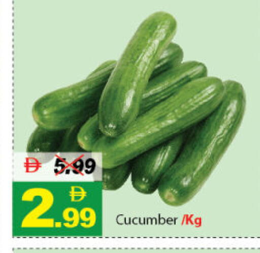 Cucumber available at ديزرت فريش ماركت in الإمارات العربية المتحدة , الامارات - أبو ظبي