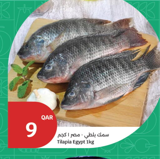 available at سيتي هايبرماركت in قطر - الدوحة