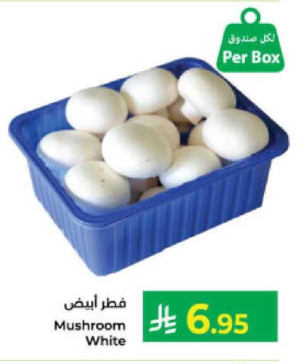 Mushroom available at Kabayan Hypermarket in KSA, Saudi Arabia, Saudi - Yanbu
