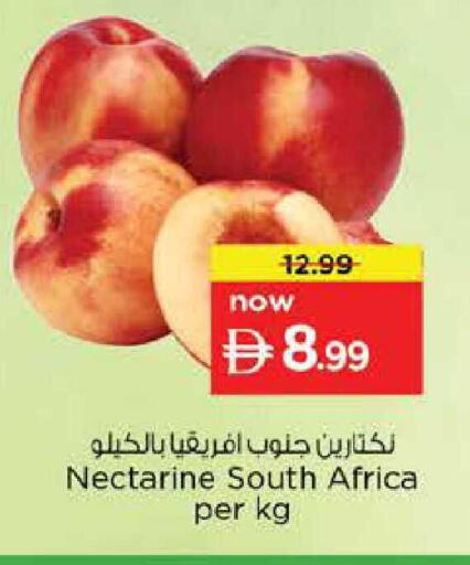Nectarine from South Africa available at Nesto Hypermarket in UAE - Sharjah / Ajman