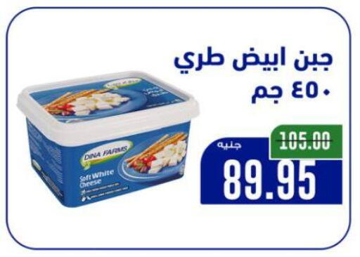 available at بيت الجملة in Egypt - القاهرة